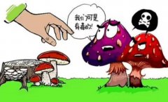 /uploads/allimg/230805/1-230P515110SB-lp.jpg