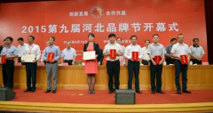 <strong>晨阳水漆首获“河北品牌建设典范单位”</strong>